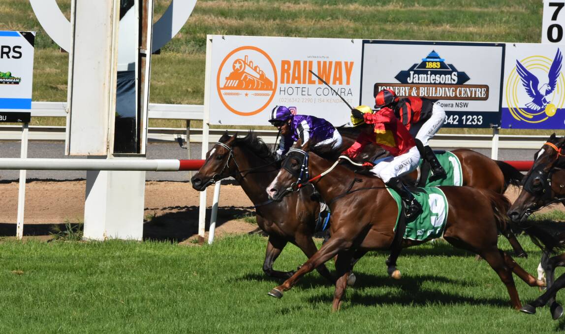 BACK AT IT: Athena's Lad (red and yellow colours) could contest the Wellington Cup on Friday. Picture: ANDREW FISHER