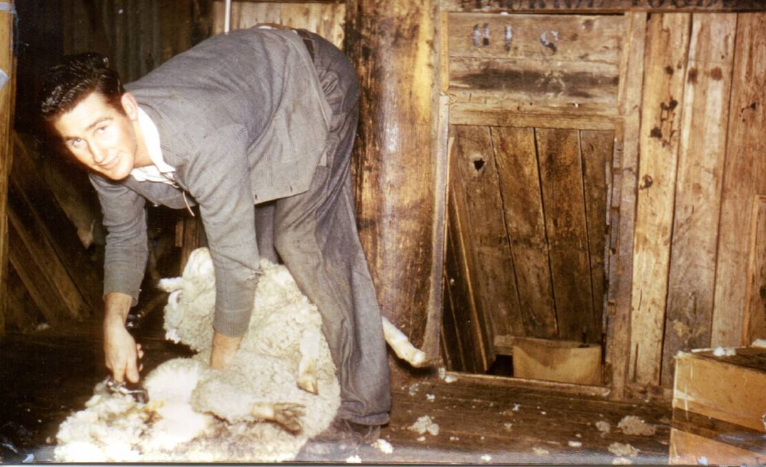 A young Maurice Toole at work shearing. Picture supplied