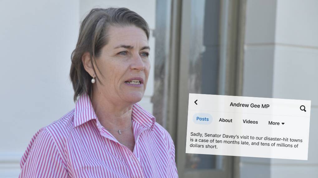 Senator Perin Davey rebutted MP Andrew Gee's Facebook post, which took a political swing at her for not being in Cabonne's flood-affected towns since November 2022. Picture (main) by Jude Keogh, August 29, 2023.