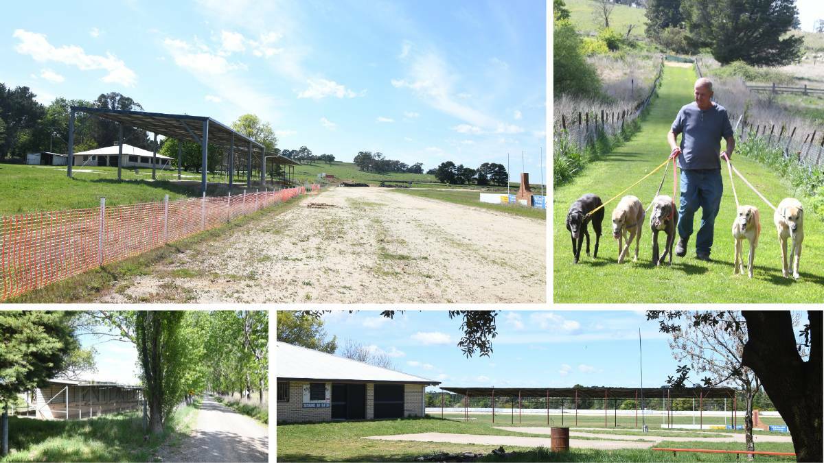 Scott Jones with his greyhounds at the old trotting track in Orange (top right) The abandoned trotting track proposed as home for a greyhound centre of excellence (all others). Pictures by Carla Freedman 