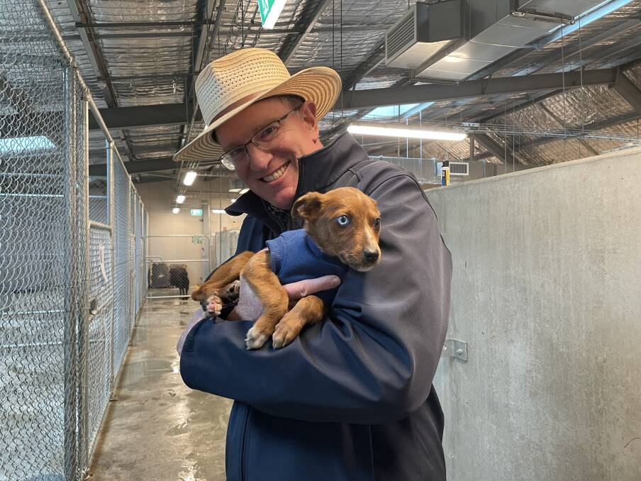 Independent Federal Member for Calare, Andrew Gee, with one of the puppies available for adoption at the Bathurst Animal Re-homing Centre. Picture by Alise McIntosh