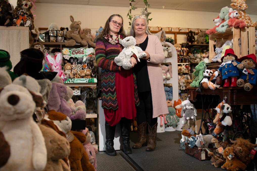 Owners of Enid's Emporium Kim Harris and Tracey Fuge among the many delights of their toy store. Picture by James Arrow