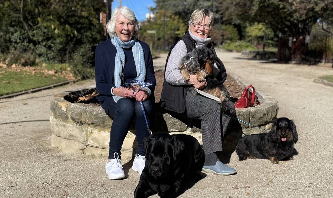 Bathurst RSPCA volunteers Chris FitzSimons (left) with her labrador Mr Bentley, with Wendy Harding (right) with her two long hair Dachshunds Ms M and Mr T. Picture by Bradley Jurd
