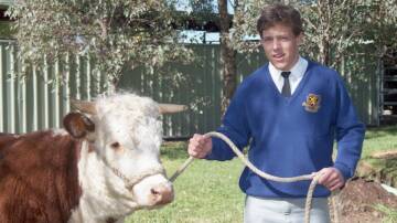 Home and Away actor Steven Peacocke pictured handling a bull during his The Scots School days. Picture supplied