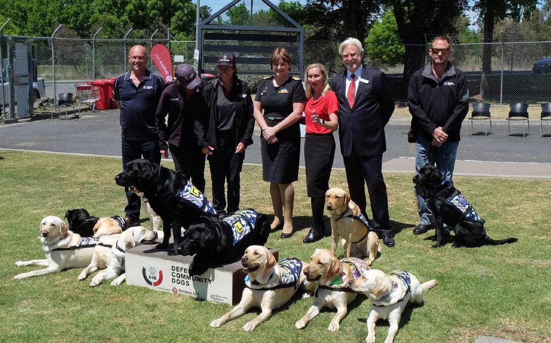 Defence Community Dogs staff and trainee dogs.