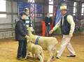 This ewe and lamb from Mt Bathurst Stud were winners at the recent Poll Dorset Championships at Cowra.