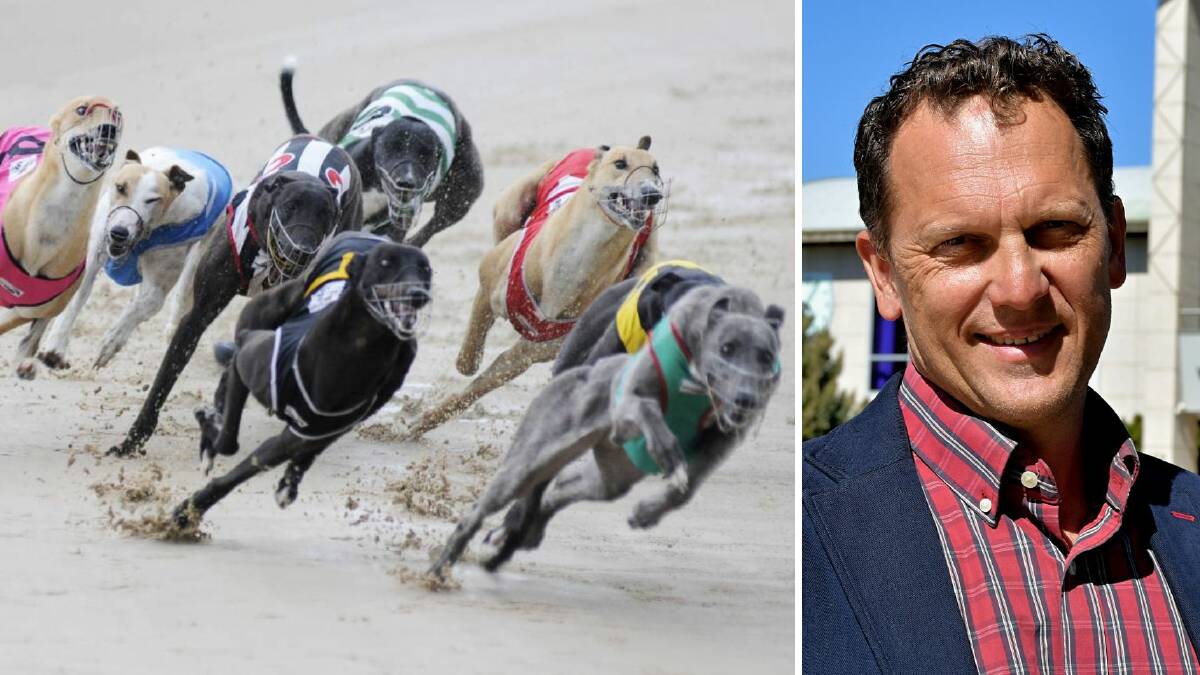 Mayor Jess Jennings says Bathurst isn't out of the race for a new regional greyhound racing facility just yet. File pictures.