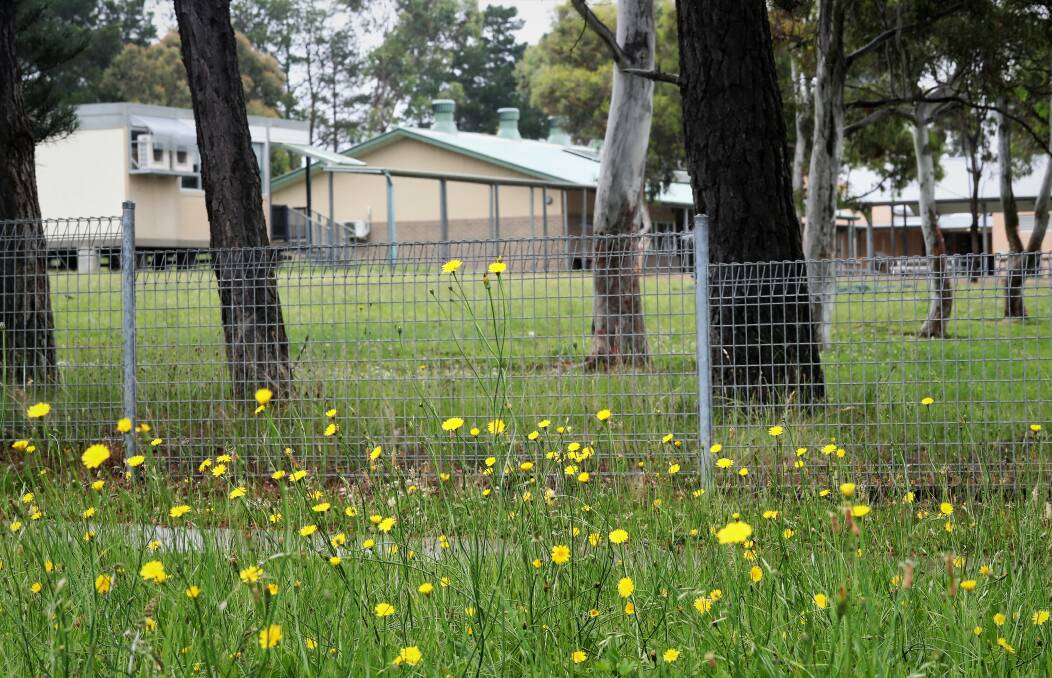 GOING UP: It's looking untidy outside the fence of Raglan Public School. Photo: PHIL BLATCH