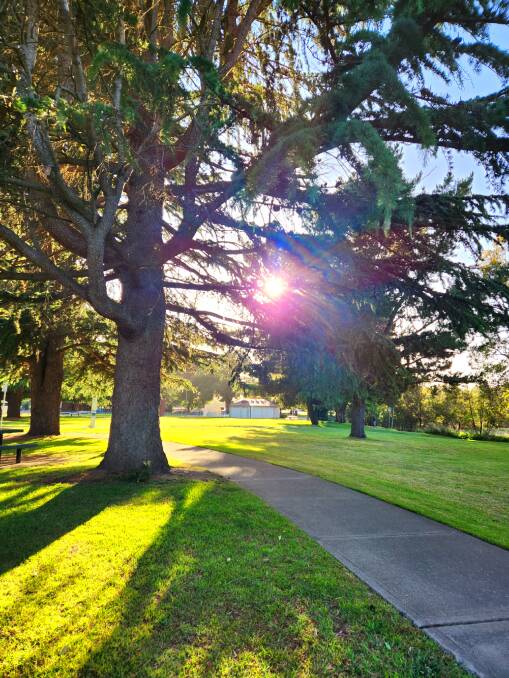 Morning sunshine at Berry Park captured by reader Sharyn Semmens. 