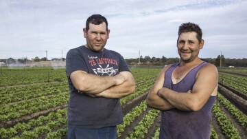 Val and Sam Micallef of Alandale Produce, south of Bathurst.