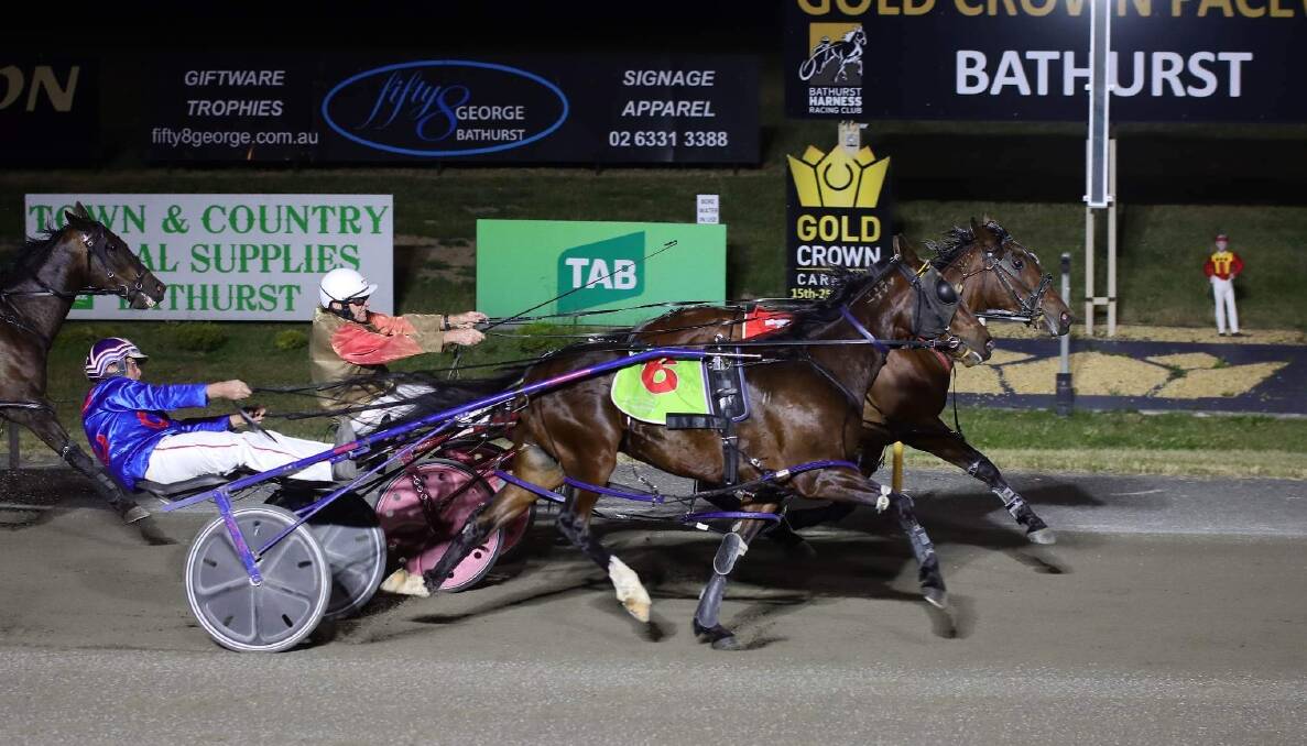 Arthur Clancy sprung a surprise at the Bathurst Paceway on Wednesday night when winning aboard $51 outsider Rose Of Juliana. Picture by Coffee Photography and Framing