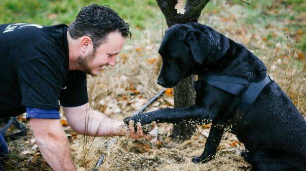 Jayson Mesman with Samson the black labrador. Photo: Lean Timms
