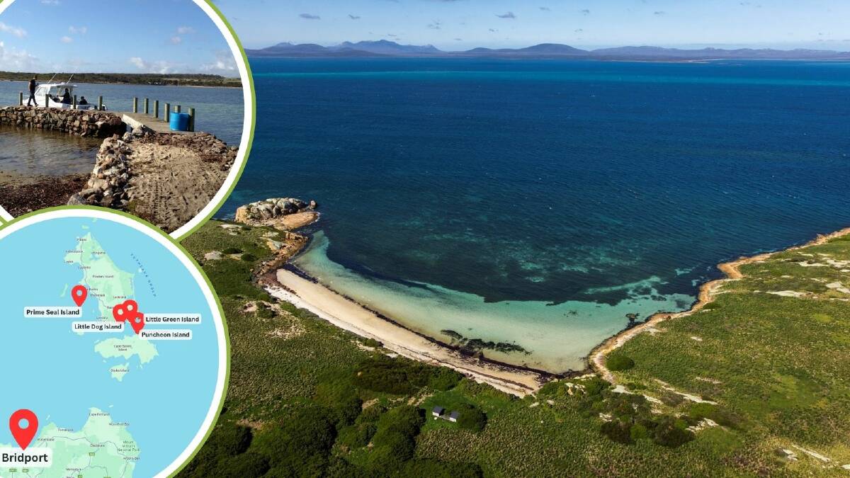 Four islands in Tasmania's Furneaux Group have been listed for sale. Pictures supplied, Google Maps 