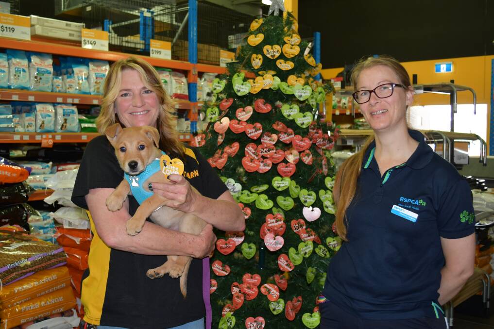 Petbarn Bathurst store manager Ashley Fitzgerald, who is holding RSPCA rescue dog Teddy, and Deanna Douglas, an RSPCA shelter manager. Picture by Jacinta Carroll