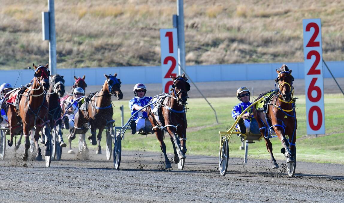 Our Sunset Delight cruises home to victory last week. Picture by Alexander Grant.