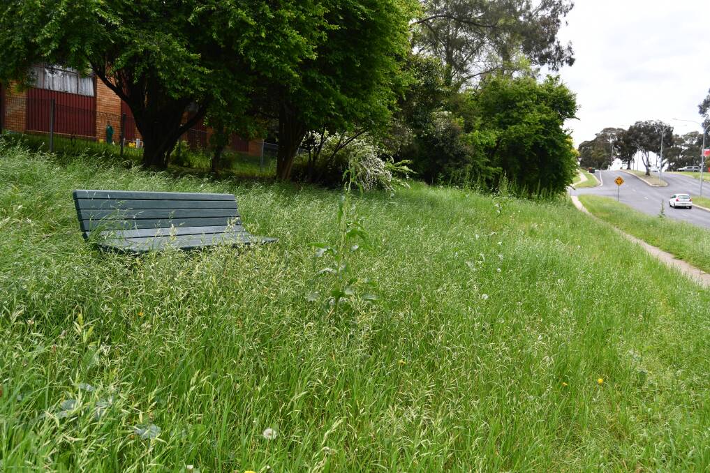 The bench on Suttor Street is almost inaccessible due to the high grass. Picture by Rachel Chamberlain 
