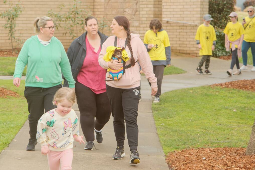A group of people walking along a footpath in Peace Park for Walk'n'Talk for Life on August 13. Picture by James Arrow