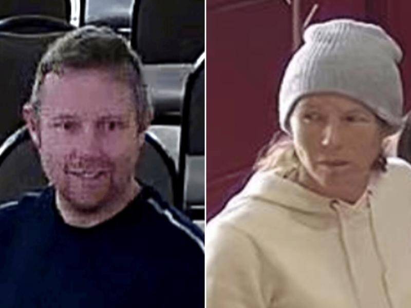 Police are seeking two people over damage to paintings and statues at Bendigo's Golden Dragon Museum (Supplied by Victoria Police/AAP PHOTOS)