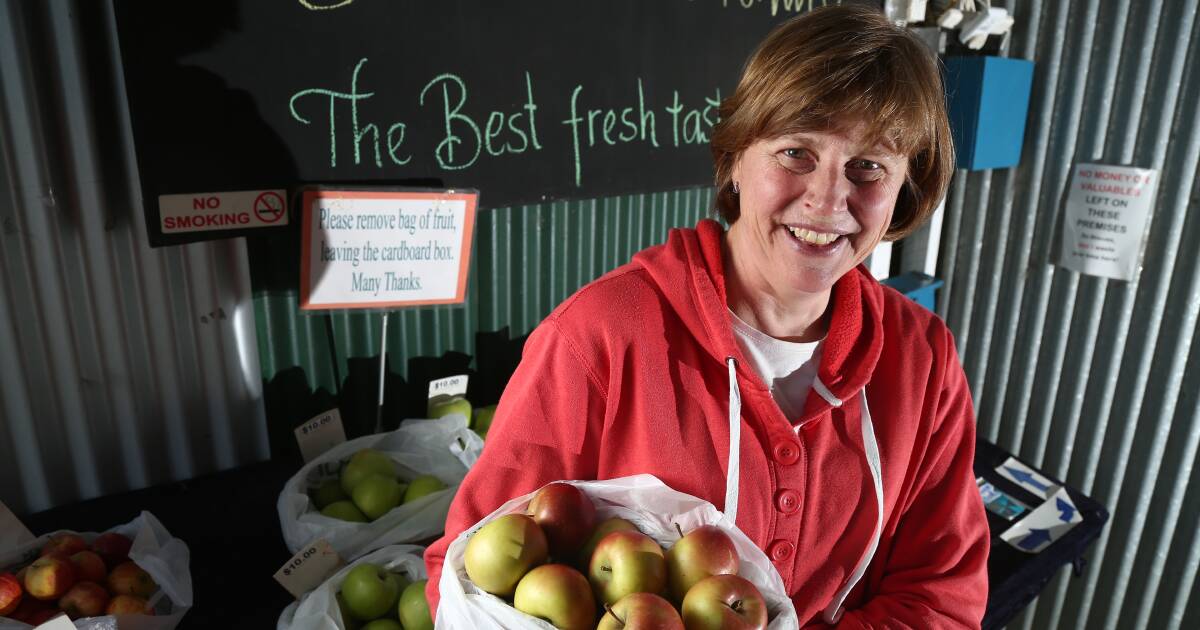 Autumn helps apple-growing at Yarralee Orchard | Western Advocate ...