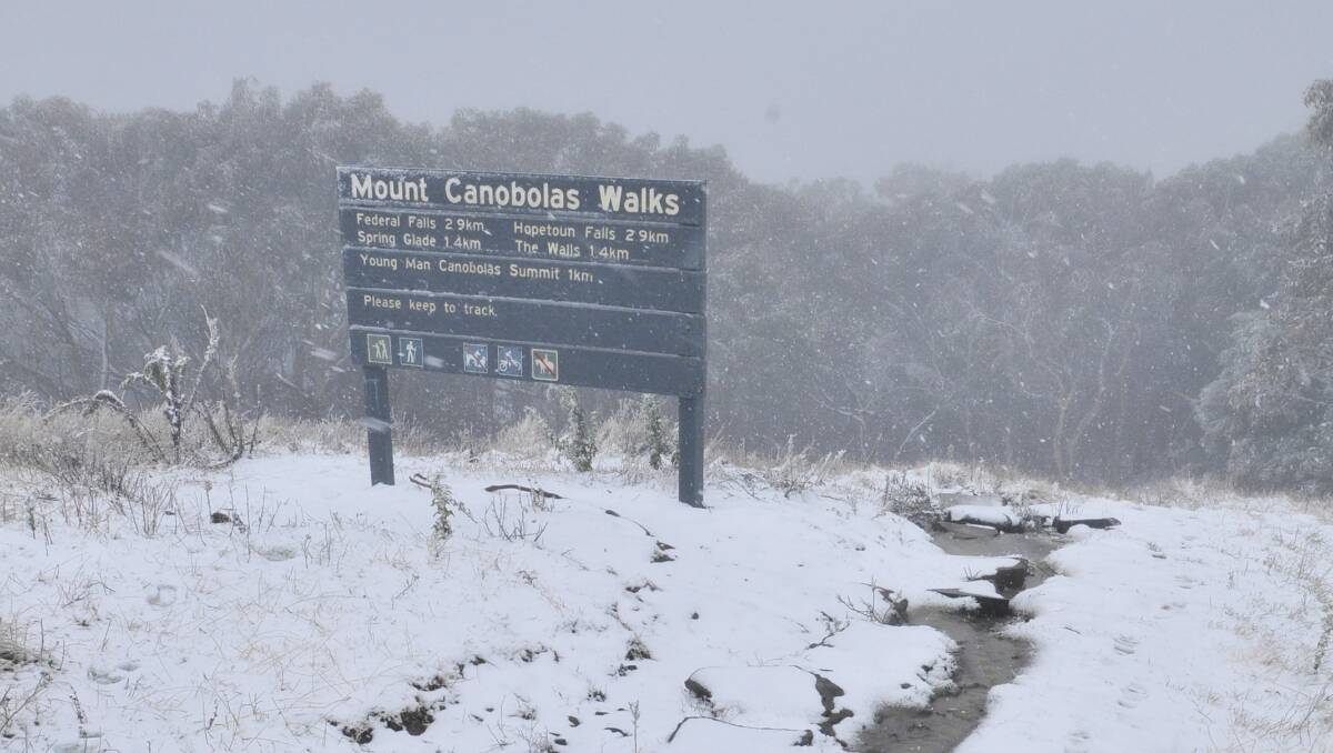 First Snowfall Of 2012 Western Advocate Bathurst Nsw